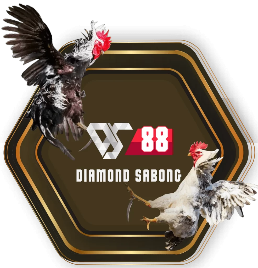 DS88 Sabong